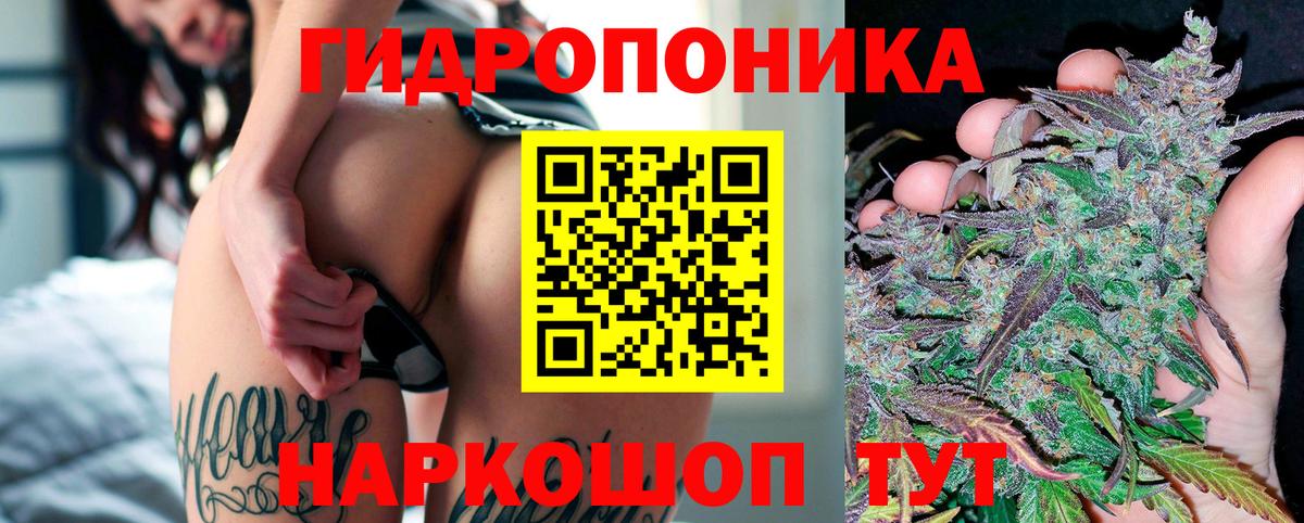 Конопля сатива  Вход с VPN  Семёнов  Шишки марихуана SATIVA & INDICA 